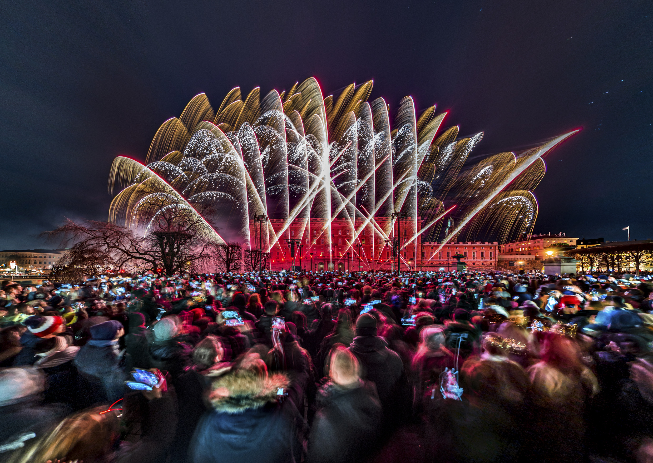 New Year Celebration