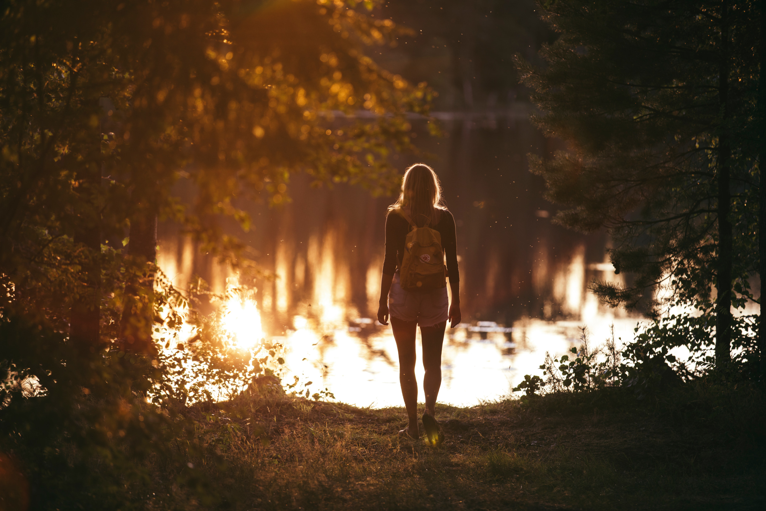 The Golden hour in Sweden