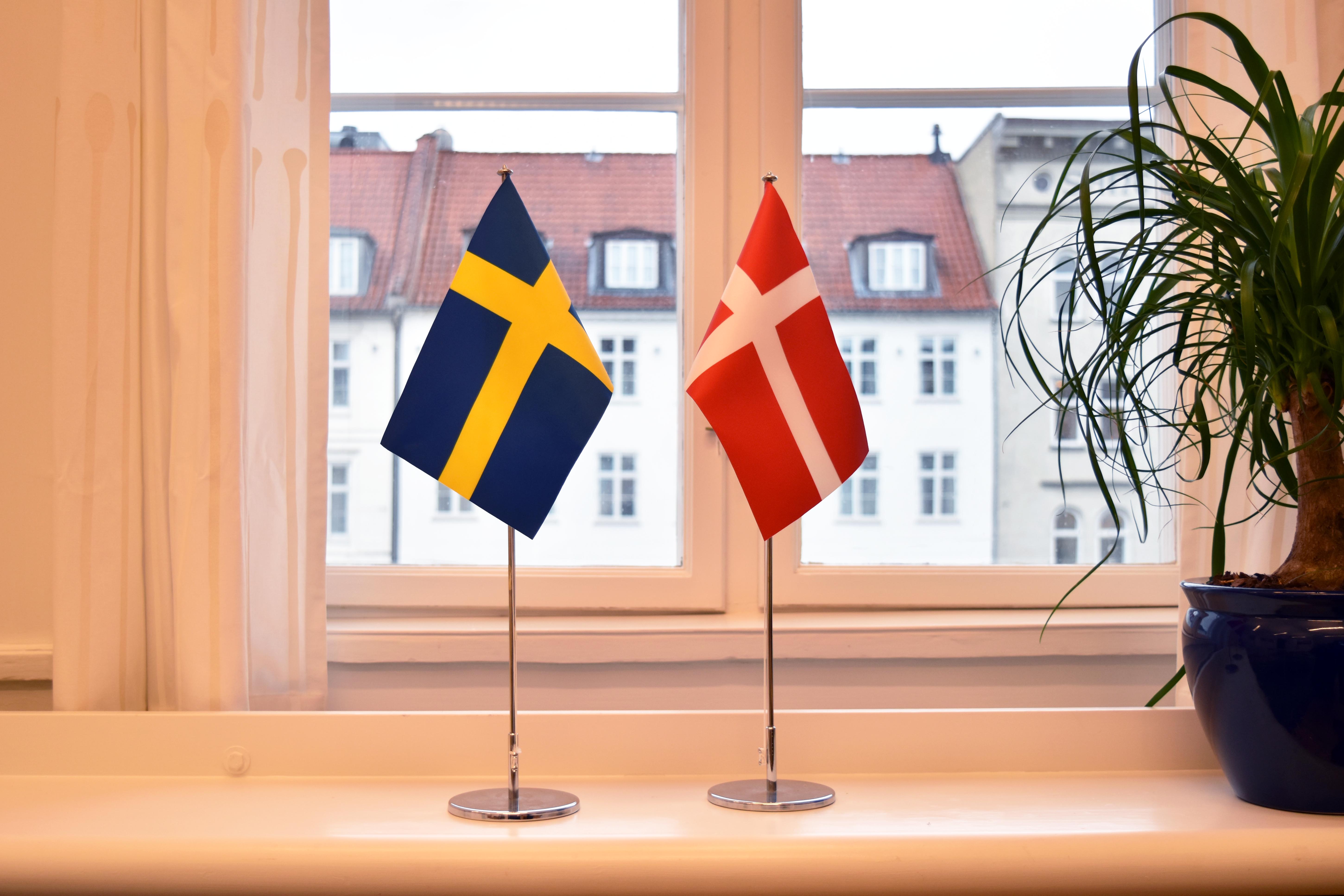 flaggbild_julia_grönholm