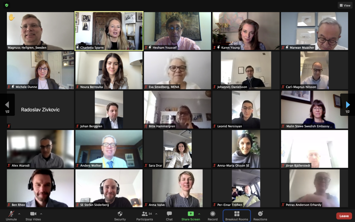 Photo from US MENA webinar