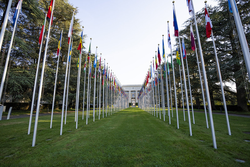 Sverige, FN & internationella organisationer