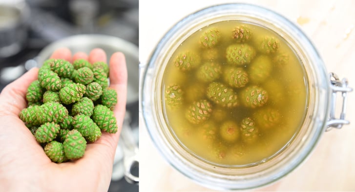 Des pommes de pin vertes dans une main. A côté un pot avec des pommes de pin confites.