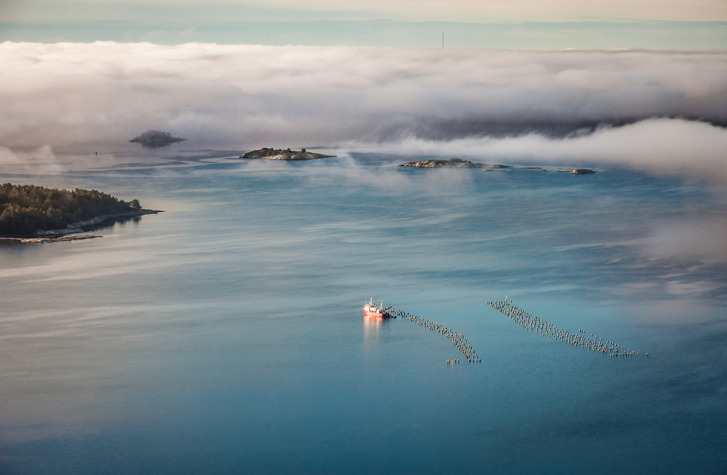 A landscape picture with an ocean