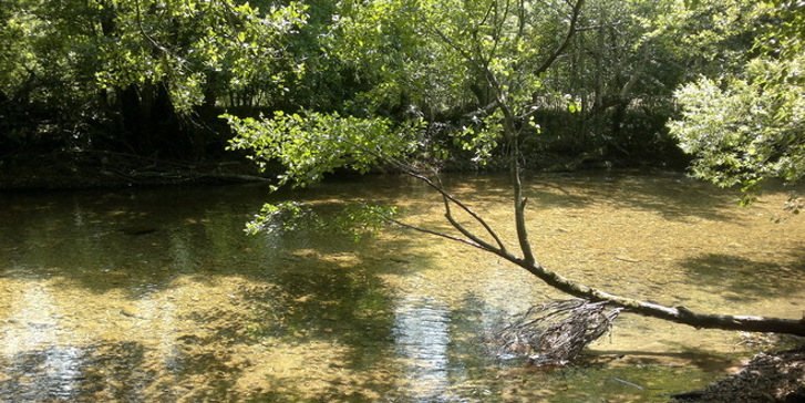 Foto: RTV (Dragan Ninković)
